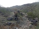photo thumbnail #3