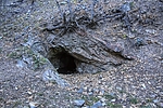 photo thumbnail #6