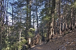 photo thumbnail #9
