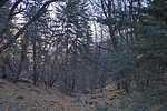 photo thumbnail #11