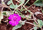 photo thumbnail #15