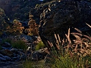 photo thumbnail #6