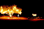 photo thumbnail #5