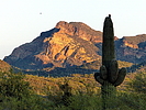 photo thumbnail #10