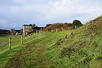 photo thumbnail #10
