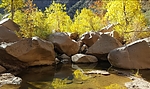 photo thumbnail #2