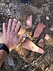 photo thumbnail #10