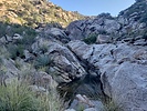 photo thumbnail #2