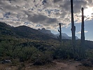 photo thumbnail #7