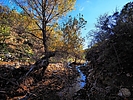 photo thumbnail #15