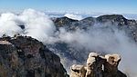 photo thumbnail #14