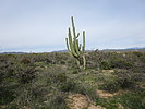 photo thumbnail #8