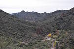 photo thumbnail #6