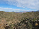 photo thumbnail #5