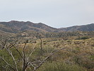 photo thumbnail #2