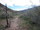 photo thumbnail #4