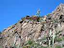 photo thumbnail #3