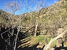 photo thumbnail #11