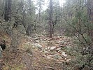 photo thumbnail #14