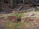 photo thumbnail #3