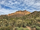 photo thumbnail #3