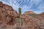 photo thumbnail #7