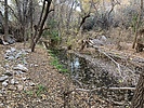 photo thumbnail #7