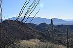 photo thumbnail #7