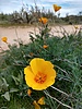 photo thumbnail #14