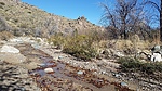 photo thumbnail #8