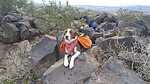 photo thumbnail #7