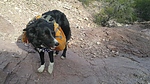 photo thumbnail #12