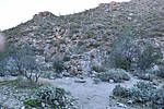 photo thumbnail #11