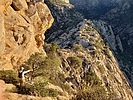 photo thumbnail #6