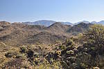 photo thumbnail #2