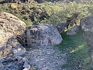 photo thumbnail #7