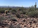 photo thumbnail #4