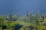 photo thumbnail #7