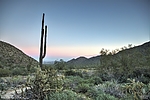 photo thumbnail #5
