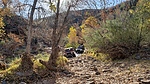 photo thumbnail #2