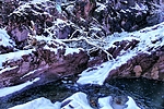 photo thumbnail #14