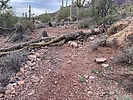photo thumbnail #7
