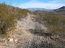 photo thumbnail #8