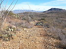 photo thumbnail #10