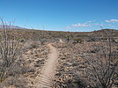 photo thumbnail #13
