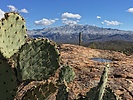 photo thumbnail #10