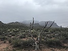 photo thumbnail #8