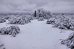 photo thumbnail #5