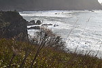 photo thumbnail #13