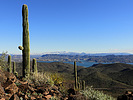 photo thumbnail #6